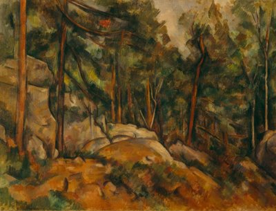Waldinneres von Paul Cézanne